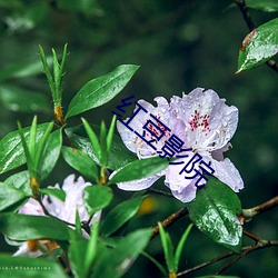 BG大游(中国)唯一官方网站