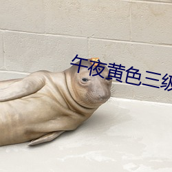 午夜黄色三级片