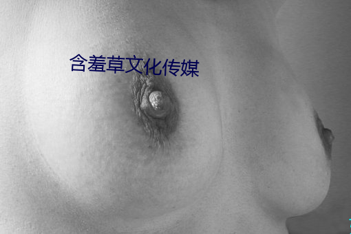 含羞草文化传媒