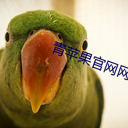 青苹果官网(網)网站