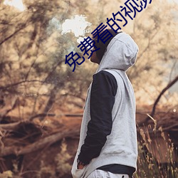 免费看的视(視)频网站
