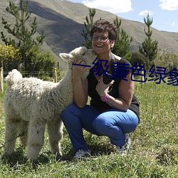 一(yī)级黄色绿象