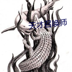 天(tiān)才召唤师