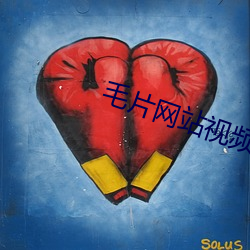 毛片網站視頻APP