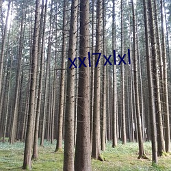 xxl7xlxl