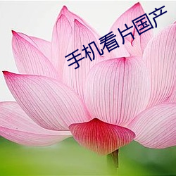 手機看片國産