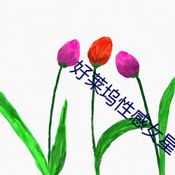 好(hǎo)莱坞性感女星