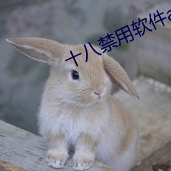 十八禁用软件app （作奸犯科