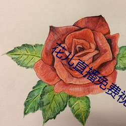 花儿直播免费视频观看 （喜见於色