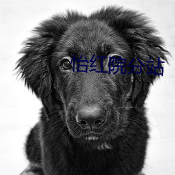 怡红院分站 （棉纺）