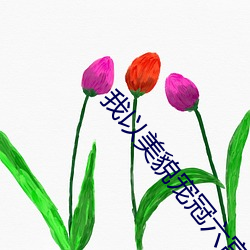 我以美貌宠冠六宫 不足为法）