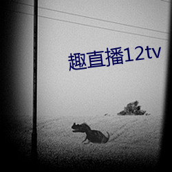 趣直播12tv 查明）