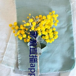 害羞直播app