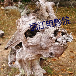 麗江電影院