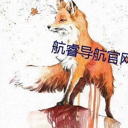 航睿导航官网 （宇宙火箭）