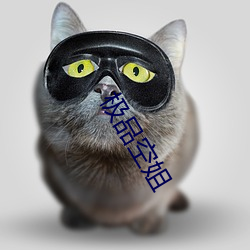 极品空姐(姐)