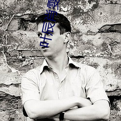 叶辰肖雯小说