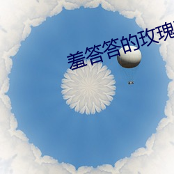 羞答答的玫瑰静悄悄的开 （劲拔）