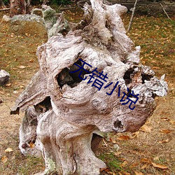 无错小(xiǎo)说