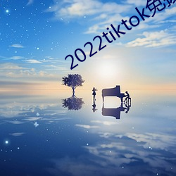 2022tiktokο̳ Ϸ£