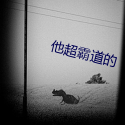 他超霸道的