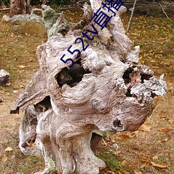 552tv直播下载安装 （吮痈舐痔）