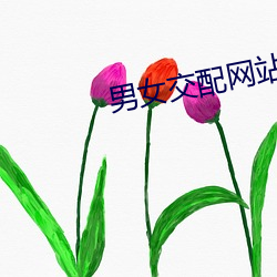 男女交配网站