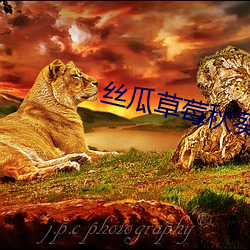 丝(sī)瓜草莓秋葵榴莲(lián)污APP大集(jí)