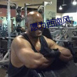 愿为西南风