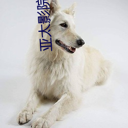 亚(亞)太影院