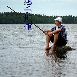 高洁(jié)小(xiǎo)说