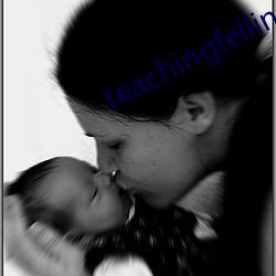 teachingfelling3.0冷狐版