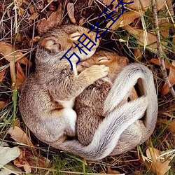 尊龙凯时·(中国)官方网站