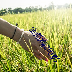 金瓶梅2电影