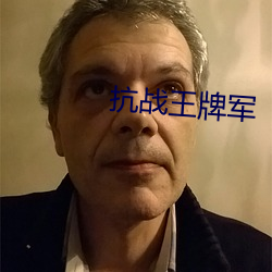抗战王牌军