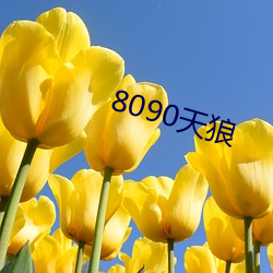 8090天(tiān)狼