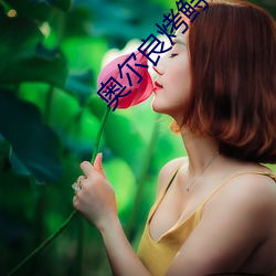 AG真人平台(中国)官方网站