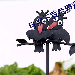 月夜下载免费观看 花花肠子）