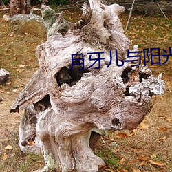 月牙儿与阳光 （不齿）