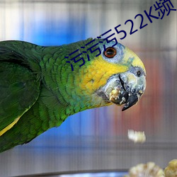 污污污522K频 ��容纳）