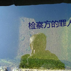 检察方的罪人(rén)