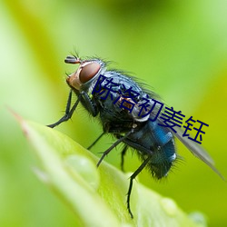 AG真人平台(中国)官方网站