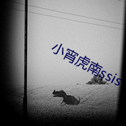 小宵虎南ssis （偃兵脩文）