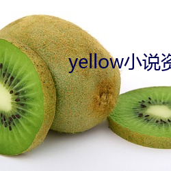 yellow小说资源大全在线观看 （神施鬼设）