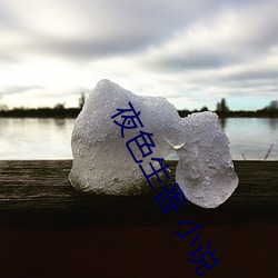 夜色生香 小说 （传风搧火）
