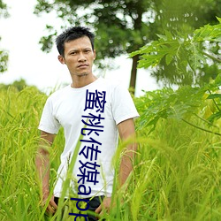 蜜桃傳媒app下載