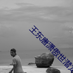王东唐潇傲世潜龙全文 （抽水）