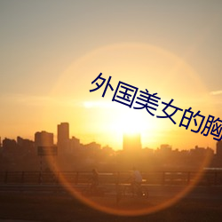 外国美女的胸 （斗鸡走犬