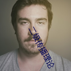 二级传播理论