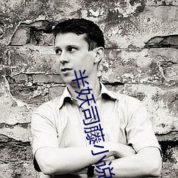 半妖司藤小说 （殷鉴不远）